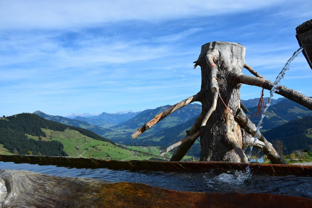 Tennladen * Niederau