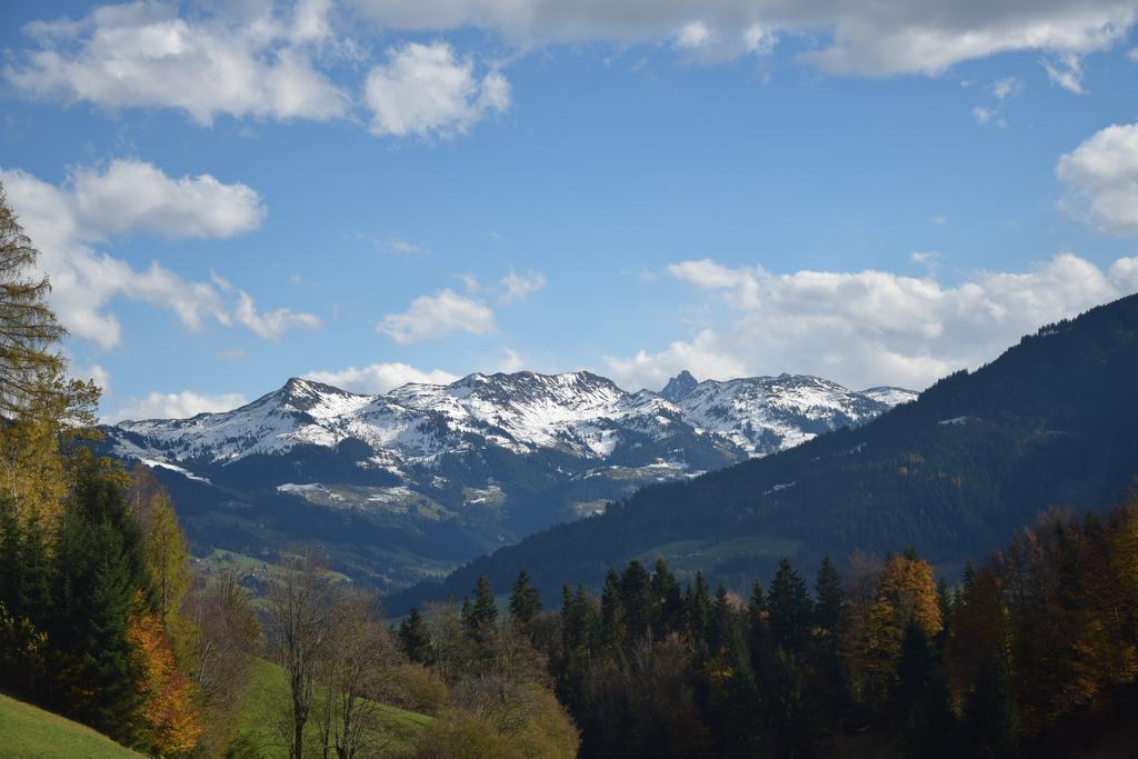 Tennladen Niederau